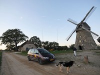 アーライシ湖近くの風車。連れて行ってくれたタクシードライバー、近所の飼い犬と共に。
