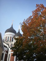 アレクサンドル・ネフスキー聖堂。街路樹は紅葉が進んでいました。