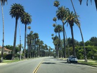 Beverly Hills（1）
