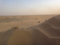 砂漠も美しー！