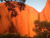 夕陽をうけ紅く変わるウルル（エアーズロック）の岩肌に、息をのむ