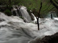 水量豊富な滝
