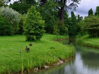 ヴェルサイユ宮殿内にあるマリーアントワネットの離宮庭園。日本人的には幾何学的なフランス式庭園より自然と生かした英国式ガーデニング庭園の方が心が和みます