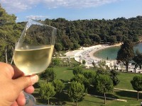 クロアチア ロビニュ ホテルのテラスからプライベートビーチを眺めて一杯