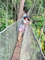 キナバル国立公園内の吊り橋(高さ30m、長さ108m)