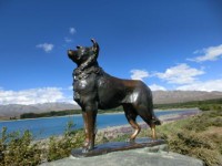 バウンダリー(牧羊)犬の像