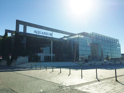 水族館Aquarium La Rochelle
