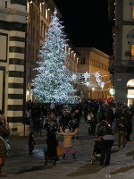 フィレンツェのクリスマスツリーと子供達