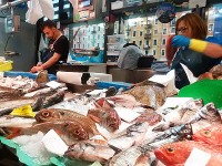 ビルバオ～リブラ市場魚屋さん
