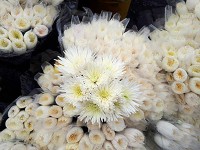 花市の白い菊の花束