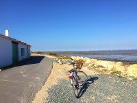 自動車が通るような大きな道路は自転車で走ることが出来ないので、海沿いのサイクリング用のコースを行きます。