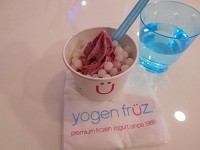 frozen yorgurt & popo