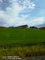ミュンヘン郊外の草原