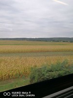 ウイーン→ブダペスト　車窓　とうもろこし畑