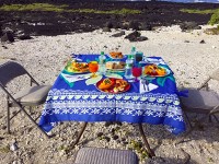 海岸でのピクニック朝食。果物は全て農園からの「直送」