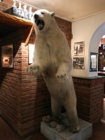 店の象徴とも言うべき北極熊の剝製
