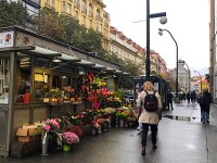 プラハ旧市街の花屋