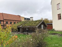 このように屋根に草の生えている家も多い