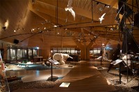 スバールバル博物館では、生態系から文化、政治に至るまで、スバールバル諸島に関して幅広く学ぶことができました。