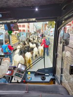 Zermatt 車いす席対応タクシー②