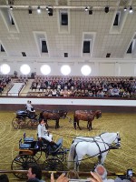 王立馬術学校②