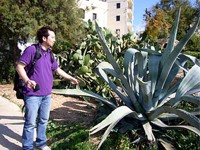 暖かい国マルタは植物も大きい！