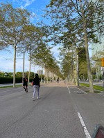 町のいたるところにある公園のような歩道