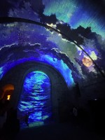 モンサンミッシェル夜間拝観（２）