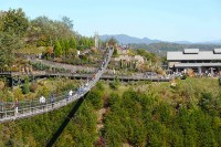 ガトリンバーグの吊り橋(Sky Bridge)。