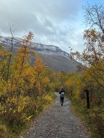 ニューラ山
