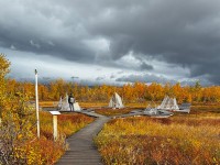 Sensing the Arctic