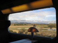 TGV車窓