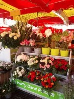 モナコのお花市