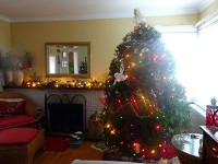 ホストファミリー宅のクリスマスツリー
